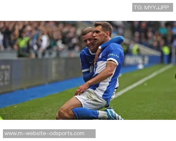 英冠焦点战伯明翰主场迎战哈德斯全力争胜展现实力 英冠焦点战伯明翰主场迎战哈德斯全力争胜展现实力